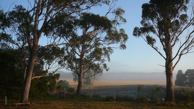 Land at Little Swanport owned by Jane and Tom Teniswood. They have given half of their 220ha property to the Aboriginal Land Council of Tasmania. Picture: WIND SONG