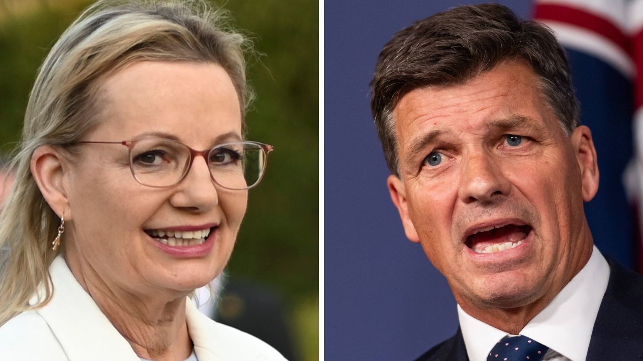 ‘Anything could happen’: Liberals to pick new leader