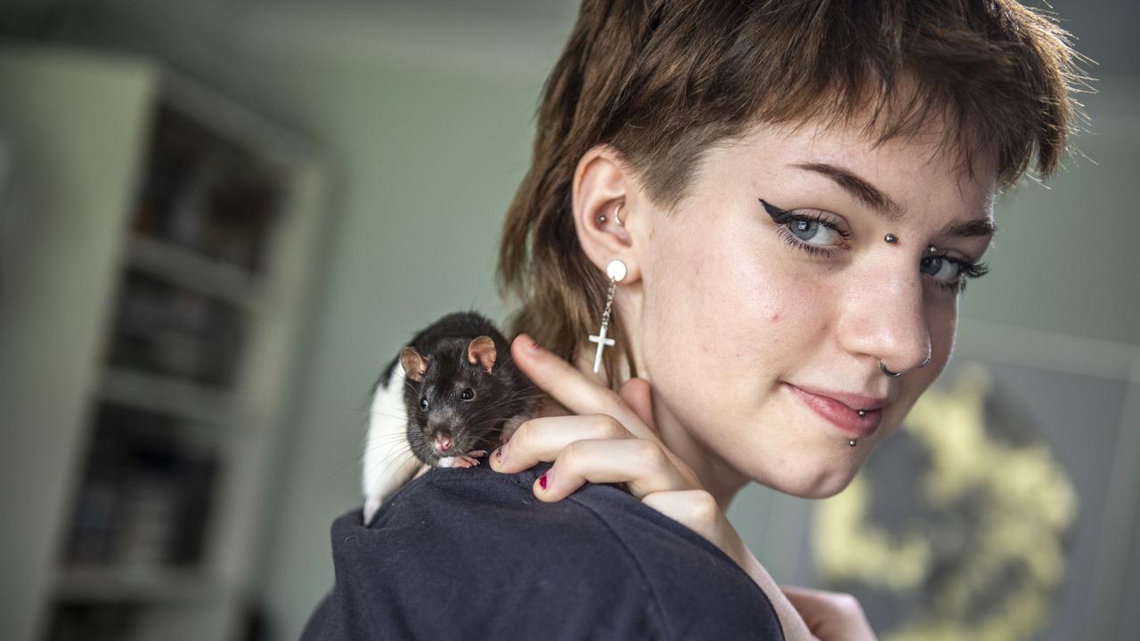 Freya Wiedman is a member of the Toowoomba and Surrounds Rodent Society pictured with Rico. Wednesday, December 8, 2021. Picture: Nev Madsen.