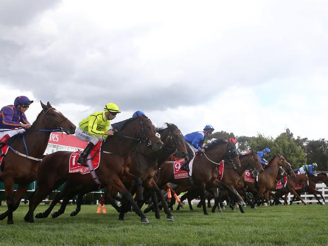 The 2016 Melbourne Cup day of racing at Flemington Racecourse,  Melbourne Cup race, start, Picture Yuri Kouzmin