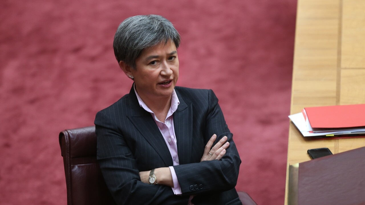 Penny Wong’s ‘rogue’ Palestinian state proposal hands ‘massive victory’ to Hamas