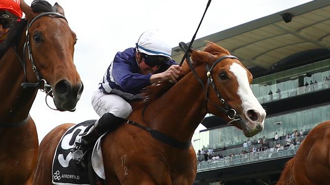 Tempestuous (middle) contesting the Breeders Plate in October at Royal Randwick