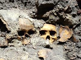 In this May 30, 2015 photo released by Mexico's National Institute of Anthropology and History (INAH), skulls are partially unearthed at the Templo Mayor Aztec ruin site in Mexico City. INAH archeologists believe they have found the site's main trophy rack of sacrificed human skulls, known as "tzompantli," where Aztecs displayed the severed heads of sacrificial victims on wooden poles pushed through the sides of the skull, but that this one is different. Part of the platform where the heads are displayed is made of rows of skulls mortared together roughly in a circle, but experts don't know what was at the center of the circle. (Hector Montano/INAH via AP)