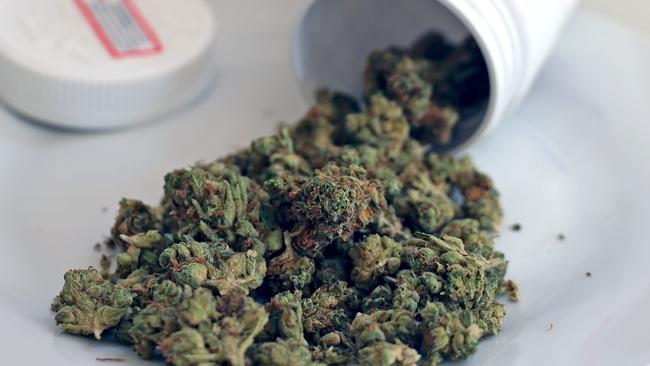 SYDNEY, AUSTRALIA - NewsWire Photos - NOVEMBER 10, 2023: General generic editorial stock image of medical medicinal cannabis marijuana weed. Picture: NCA NewsWire