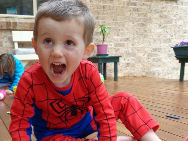 William’s Spider-Man suit may be all we find: Expert