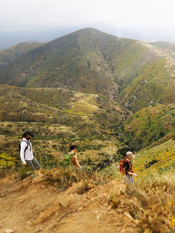 Four-hour hiking excursions in the Santa Monica Mountains start early at the Ranch Malibu.