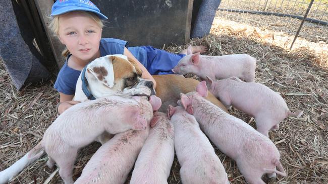 Talithah Trevor, 9 with the unusual family. Picture Mike Batterham