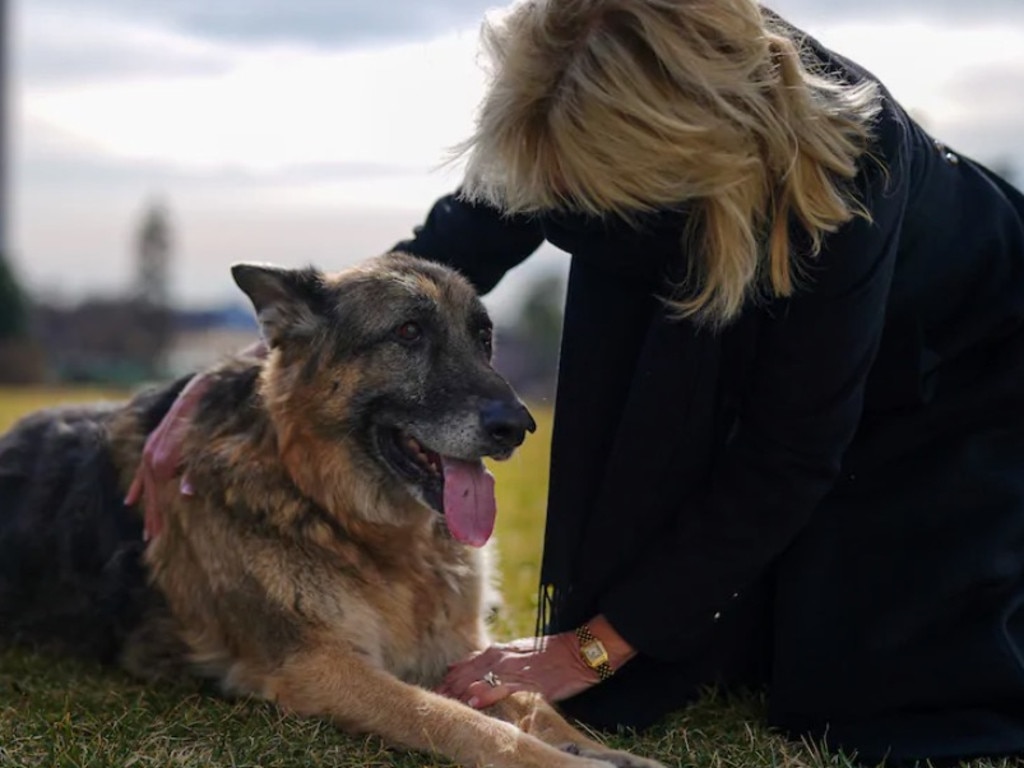 Jill Biden with Champ. Picture: Adam Schultz/White House