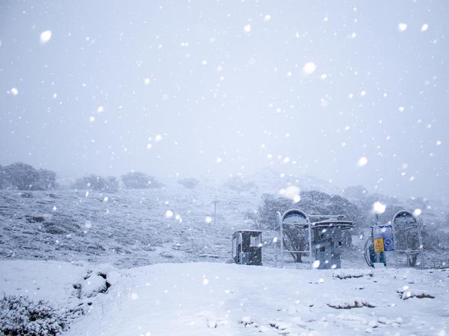 Wintery goodness has arrived! Fresh snow began falling over Perisher early this morning and is expected to continue over the coming days with up to 40cm in the forecast.   The most significant snowfalls are expected over the next 24 hours. It’s going to be Brrrrr-illiant as blizzard conditions, arctic temps & strong winds turn Perisher into a wild, wintery wonderland. Picture: Perisher