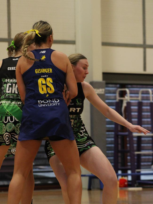 HART Sapphire Series round 1 2024 (Ruby) Darling Downs Panthers v Bond University Bull Sharks Netball