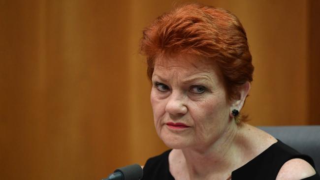 One Nation leader Senator Pauline Hanson.