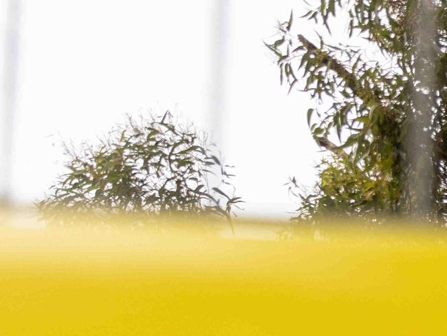 MELBOURNE, AUSTRALIA - NCA NewsWire Photos - 6 APRIL 2024: Fencing and warning tape seen in an area where asbestos has been found at Paisley Park in Altona. Picture: NCA NewsWire / Diego Fedele