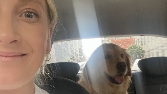 Pet owner Stacey Pinchbeck likes to holiday with her family and two golden retrievers Dolly and Darcy, saying the new app will make it a lot easier to plan trips and find pet-friendly accommodation. Photo: Supplied.