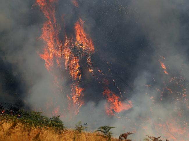 TFS crews conduct a back burn at the top of Kermandie River Road in Geeveston after a bulldozer was used to create a containment line. Picture: RICHARD JUPE