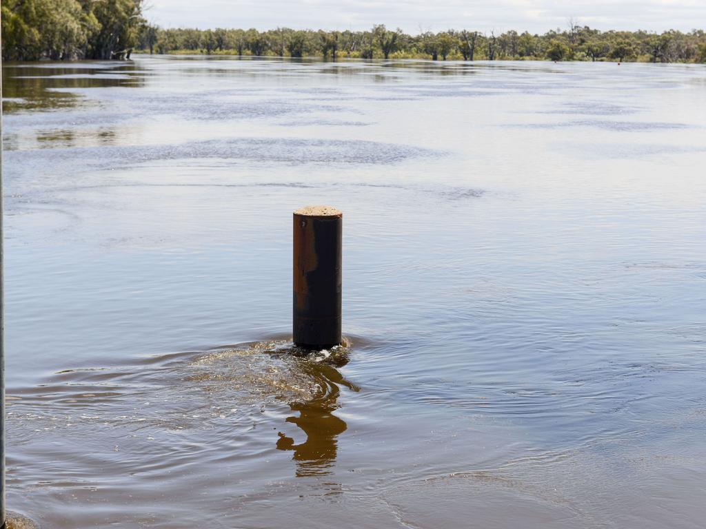 The Lyrup ferry on November 19, 2022: Picture: Brenton Edwards