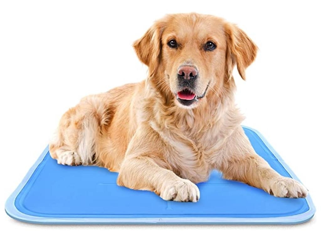 Dog cooling mat reviews on sale australia