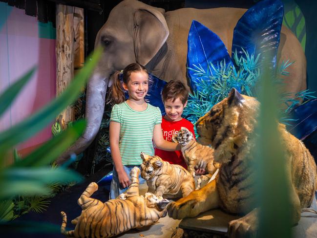 Violet, 7, and Jimmy, 5, get a sneak peek at Myer’s 69th Christmas Windows, which will transport viewers to Australia Zoo. Picture: Jake Nowakowski