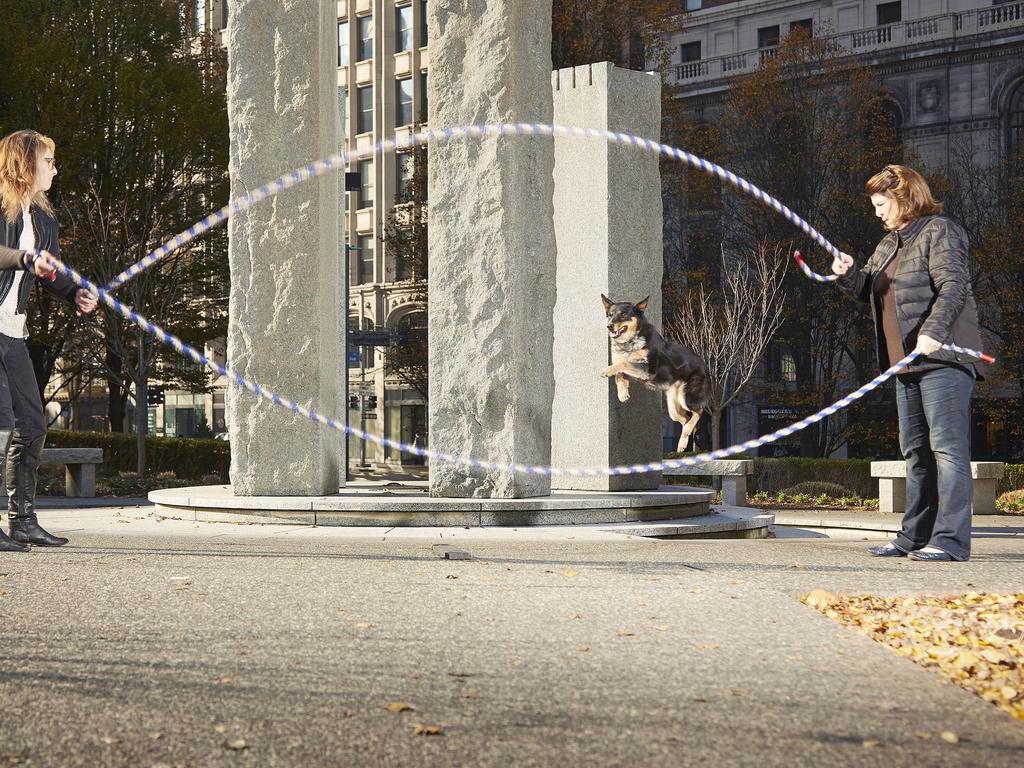 Geronimo - Most double dutch skips by a dog in 1 min. Picture: Kevin Scott Ramos/Guinness World Records