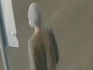 Security footage has been released as police try piece together who was responsible for the vandalism. Picture: NSW Police