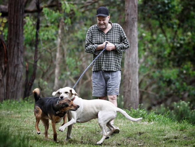 Robbo takes Elvis and Tiger for a walk. Picture: Michael Klein