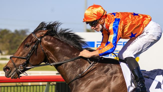 Smart mare Entriviere will be ridden conservatively from a wide gate in the Golden Pendant. Picture: Getty Images