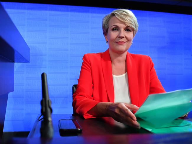 Deputy Leader of the Opposition Tanya Plibersek at the National Press Club in Canberra, Wednesday, February 20, 2019. (AAP Image/Mick Tsikas) NO ARCHIVING