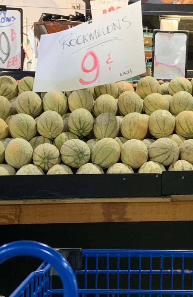 With rockmelons at just $0.09/kg, Cath bought 12. She mainly feeds the bulk of her fruits to her pet pig and friend’s 10 miniature horses. Picture: Facebook/SimpleSavers