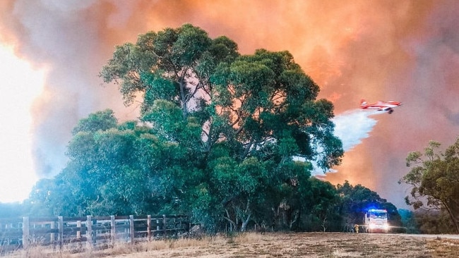 CFS crews battle the Cherry Gardens bushfire from the ground and the air. Picture: Courtney Orrin