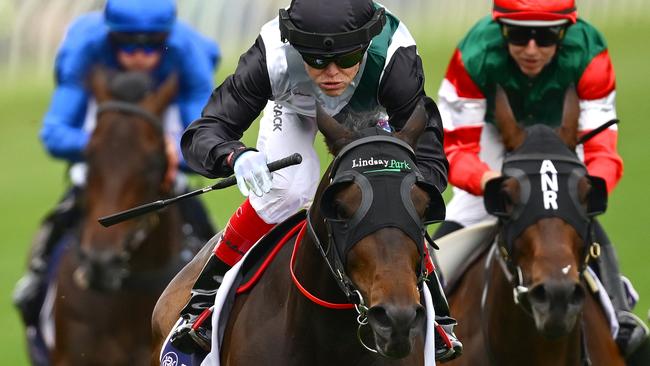 Star miler Mr Brightside had a jumpout at Werribee last Friday. Picture: Getty Images