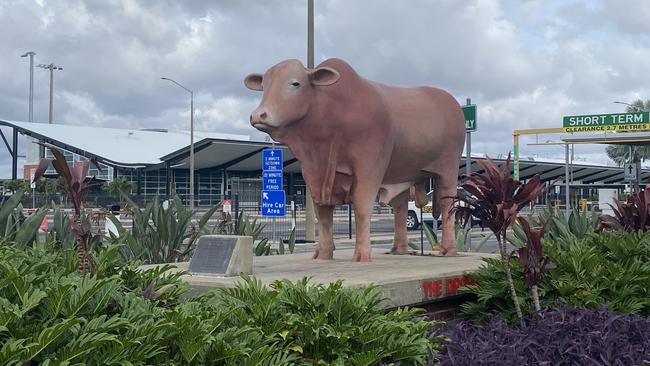 The Big Droughtmaster at Rockhampton Airport.