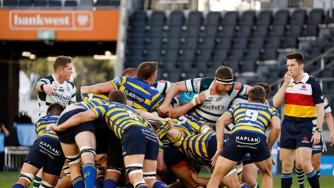 The Shute Shield and Premier Rugby comps would be scrapped under the proposed revamp. Picture: Karen Watson