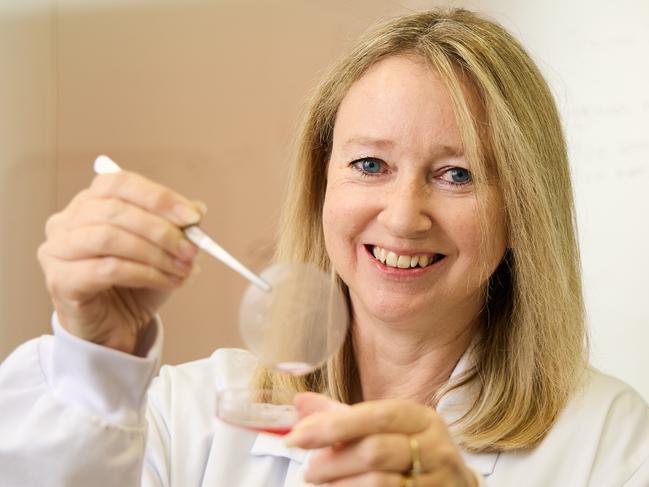 Professor of Regenerative Medicine, Allison Cowin at UniSA in Mawson Lakes, is developing a dressing that use stem cells to heal chronic wounds, Friday, Aug. 19, 2022. Picture: MATT LOXTON