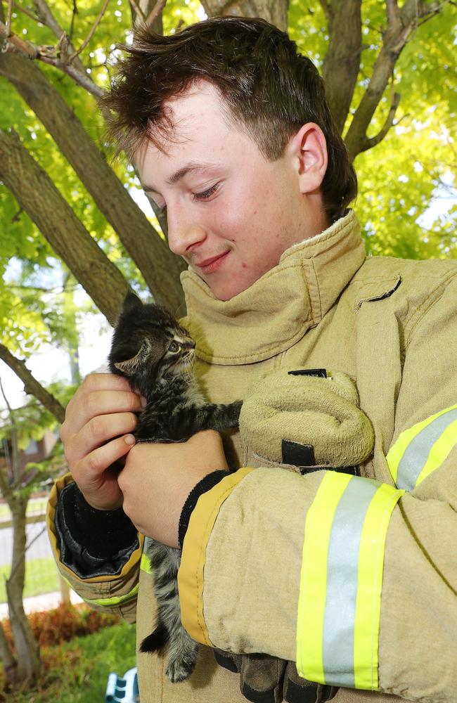 CFA volunteer Edward Atkin with Stormy the four week old kitten. Picture: Alan Barber