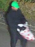 Police wish to speak to a man in a green cap and black clothing who was seen walking in the area at the time of the shooting in Fawkner Park, South Yarra on April 26, 2019.