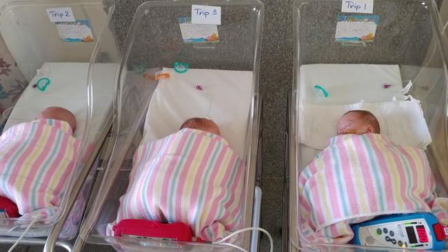 Triplet babies Orion, Onyx and Odin Kennedy born at Katoomba Hospital in May 2018. Picture: Supplied