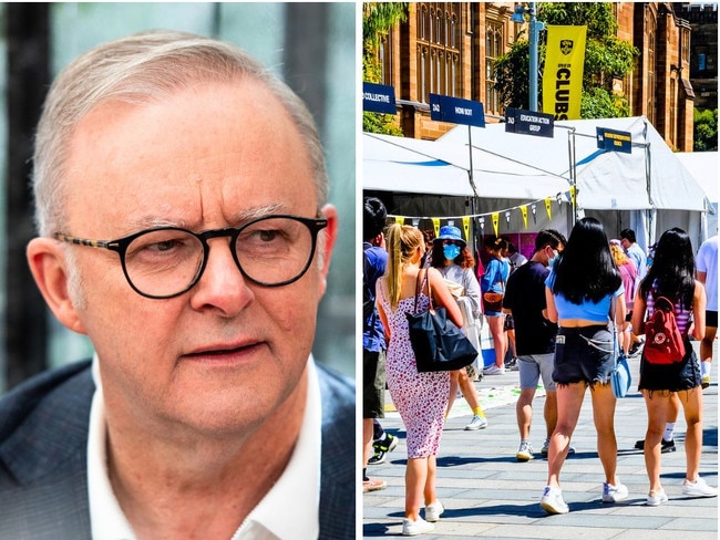 Anthony Albanese has made a huge promise about student debt.