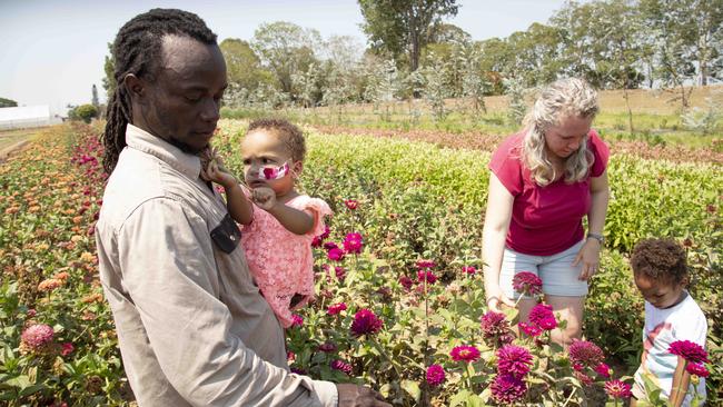 The Mpagi family tend to their blooms. Photo: AAP/Russell Shakespeare