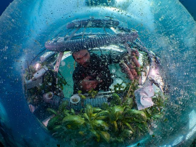 This photo was the overall winning image at the United Nations World Oceans Day photo competition in 2020. It shows Gianni Fontanesi tending to plants at Nemo’s Garden, a unique underwater farming project off the coast of Italy. Photo: Joanna Smart.