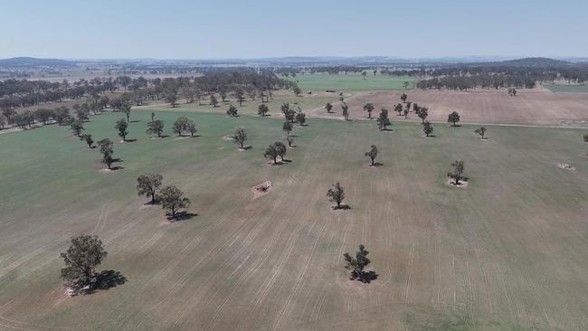 Clarevaulx Station is regarded as one of the largest basalt soil properties in the Glen Innes district.