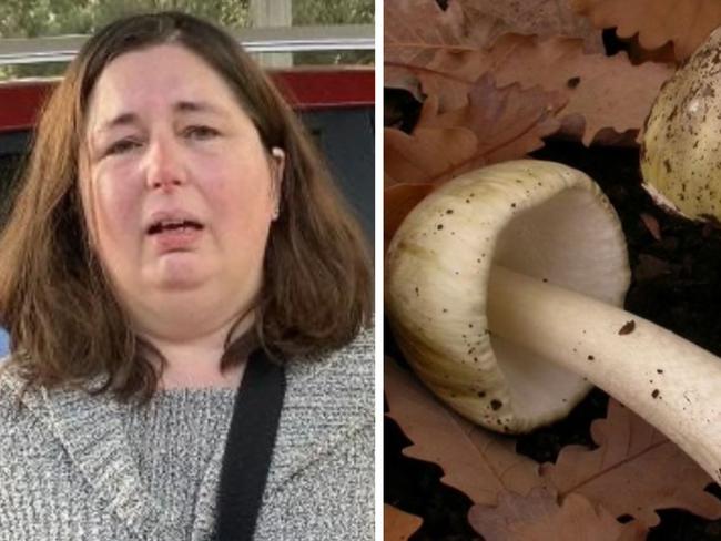 Erin Patterson claimed to police mushrooms were bought from local shop