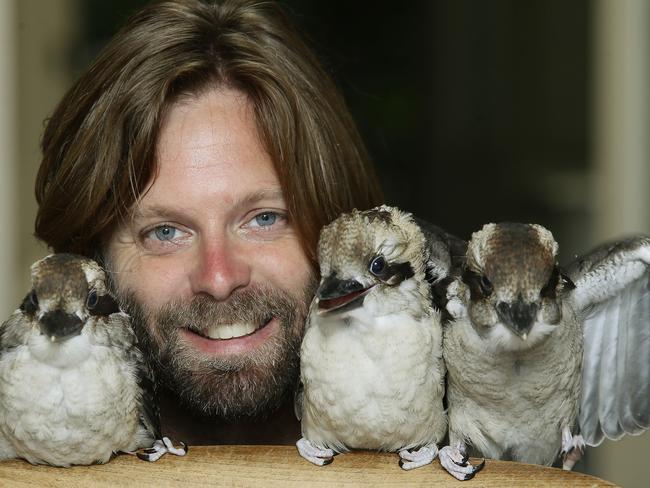 Josh Cook with the baby Kookaburras he cared for earlier this year. Picture: John Appleyard