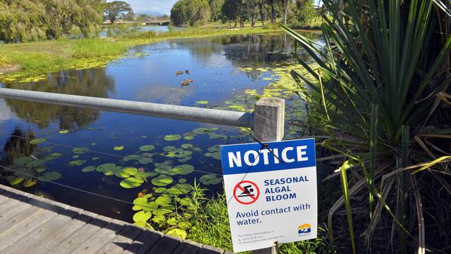 Residents have been advised to avoid direct contact with water in the lakes at Idalia and near CastleTown following detection of algal bloom in the system.