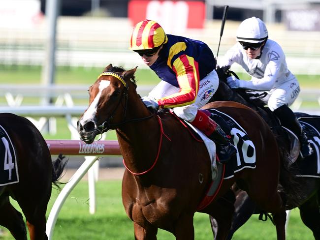 Three-year-old filly Spicy Martini, trained by Toby Edmonds (pictured) and Stephen McLean and ridden by Craig Williams, qualifies for the Stradbroke Handicap by winning the Fred Best Classic at Doomben on Wednesday. Picture: Grant Peters, Trackside Photography.,