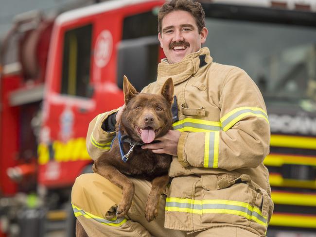 Firefighter Jono Barnett with Jono the rescue dog. Picture: Jason Edwards