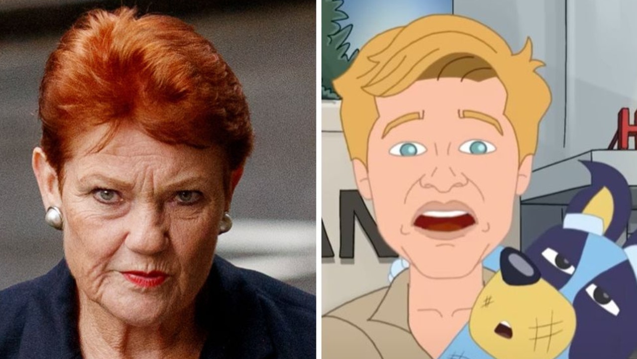 Robert Irwin has threatened to sue Pauline Hanson’s One Nation party over an animated video, attacking the Queensland government, which Irwin says is defamatory.