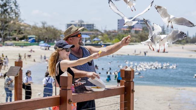 Families enjoy Ian Dipple Lagoon. Picture: Jerad Williams