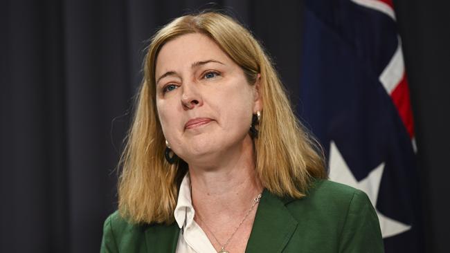 CANBERRA, Australia - NewsWire Photos - October 14, 2024: Minister for Agriculture, Fisheries and Forestry, Julie Collins holds a press conference at Parliament House in Canberra. Picture: NewsWire / Martin Ollman