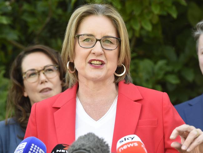 Jacinta Allan says a controversial meme about Opposition Leader Peter Dutton’s wife should be removed from social media. Picture: Andrew Henshaw