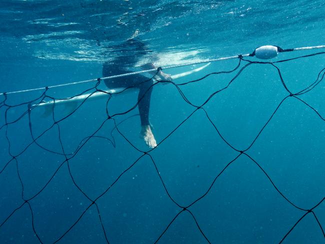 Greenies have vandalised a series of shark nets at Queenscliff, Bondi, Dee Why, Manly, Curl Curl and other popular Sydney beaches. Picture: Stephen Cooper