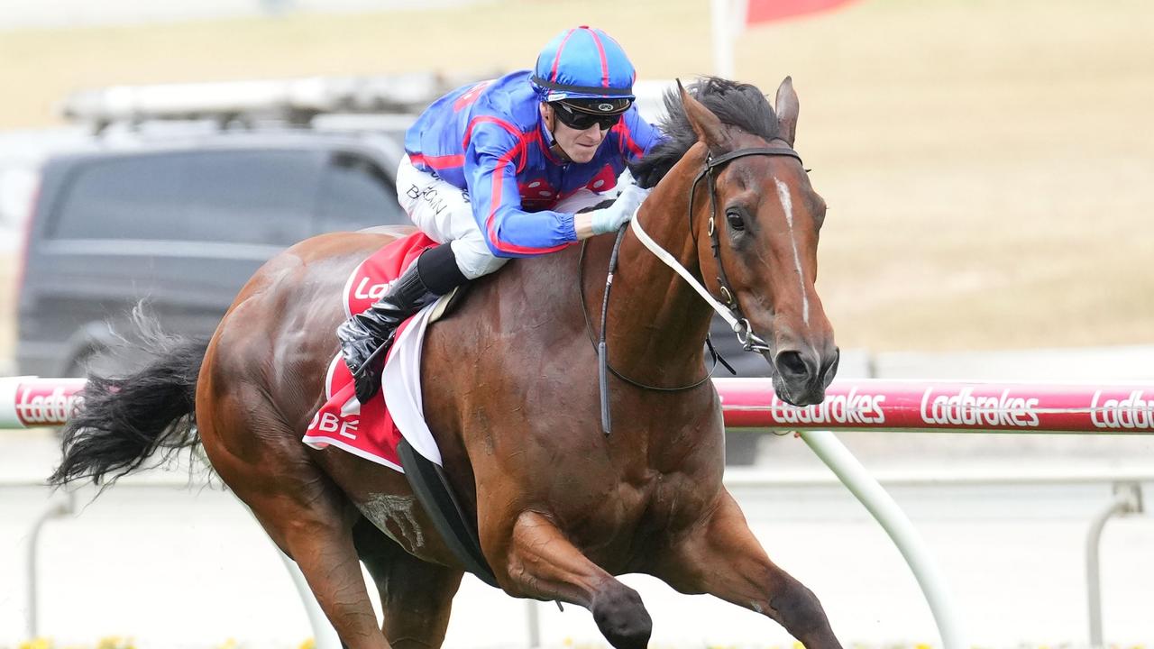 Cranbourne Cup winner Globe will step up to the 2000m for the first time in the Ballarat Cup on Saturday. Picture: Scott Barbour/Racing Photos via Getty Images